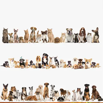 Pet Köpek Kedi Süpürgelik Duvar Çıkartmaları Gerçekçi 3D Kitty Doggy Vinil Duvar Çıkartmaları Ev Başucu Dekorasyon Posteri Duvar Kağıdı 90 * 60 CM