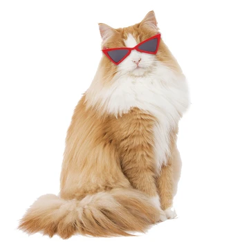 Moda Kedi Gözlük Üçgen Çerçeve Gözlük Komik Renkli Kare Gözlük Cadılar Bayramı Cosplay Fotoğraf Çekmek Sahne evcil hayvan aksesuarları