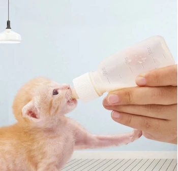 Pet biberon Seti Yavru Yavru Köpek Kedi Bebek Su Besleme Süt Yenidoğan Kedi Besleme Süt ve Ilaç 2in1