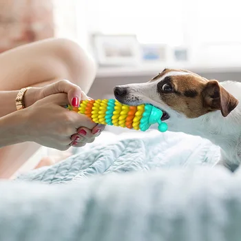 Renkli Tırtıl Köpek Çiğnemek Tutkal Oyuncak Çiğnemek Yeni Diş Fırçası Pet Malzemeleri Köpek Oyuncak Köpek Oyuncak Köpek Oyuncak