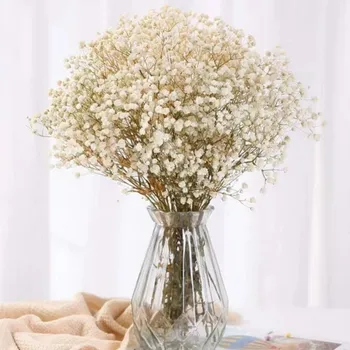 120g Kurutulmuş Bebek Nefes Çiçek Buketleri Renkli Beyaz Gypsophile Doğal Kuru Çiçek Gypsophila Düğün Dekorasyon İskandinav Ev
