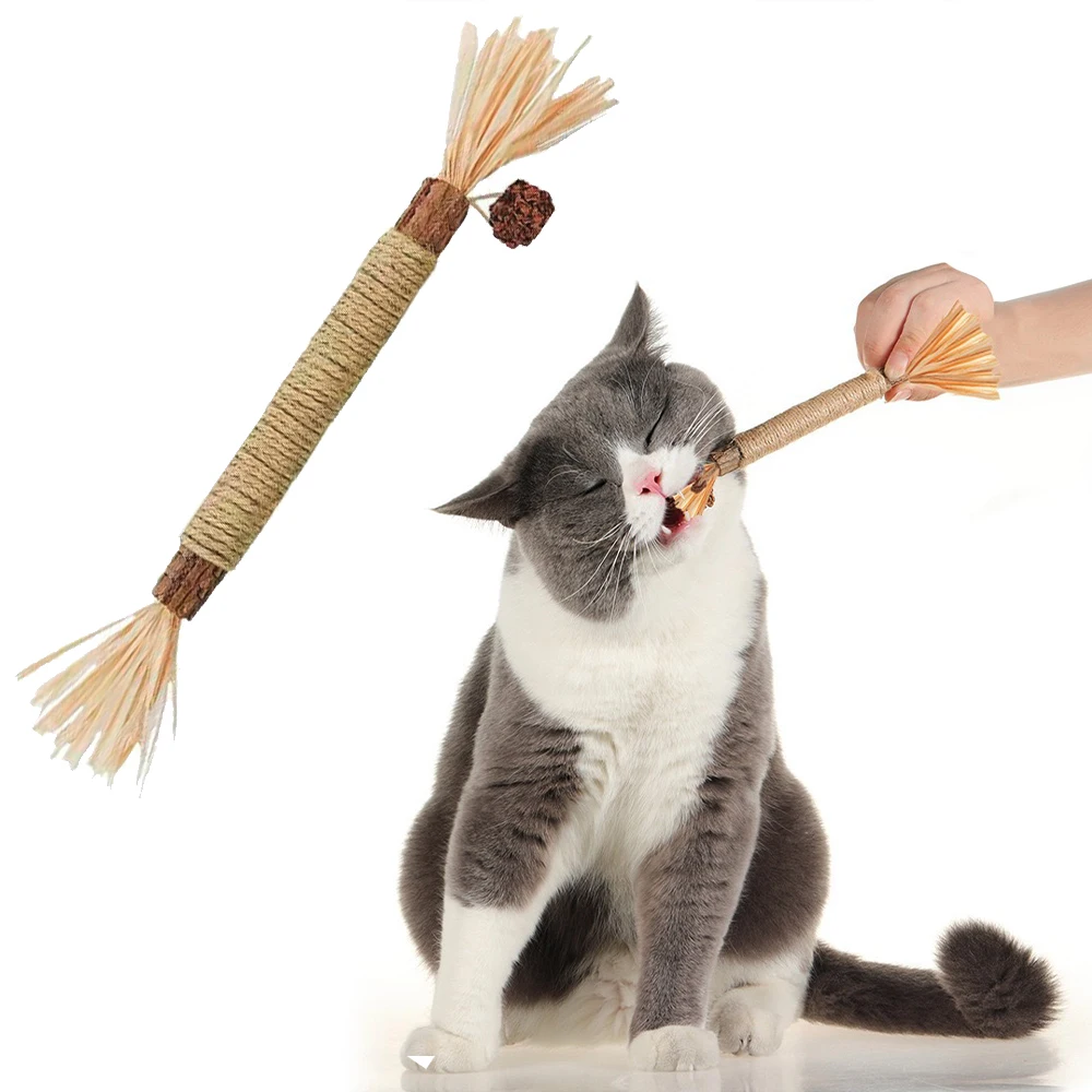 Pet Kedi Ahşap Polygonum Sopa Lafite Çim Kedi Oyuncak Molar Sopa Catnip Kedi Diş Temizleme Silvervin Sopa Kamışı Pet Malzemeleri Oyuncaklar Görüntü 0