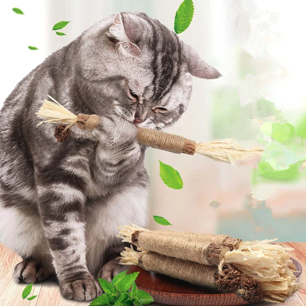 Pet Kedi Ahşap Polygonum Sopa Lafite Çim Kedi Oyuncak Molar Sopa Catnip Kedi Diş Temizleme Silvervin Sopa Kamışı Pet Malzemeleri Oyuncaklar Görüntü 4