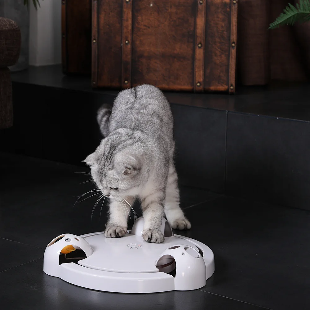 Yeni İnteraktif Kedi Oyuncak Komik Kedi Otomatik Dönen Kedi Oyun Teaser Plaka Fareler ve Hayvan Oyuncaklar Elektrikli Oyun Egzersiz pet Oyuncak Görüntü 1